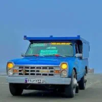 راننده اتباع و برش کار چوب.  و نیروی خانم