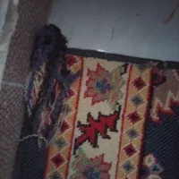 کناره فرش|فرش|ایلام, |دیوار