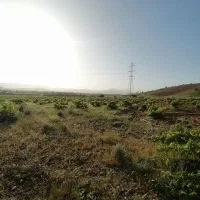باغ-شهری-باغ-انگوری-دوکوهک