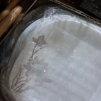 سرویس ارکوپال