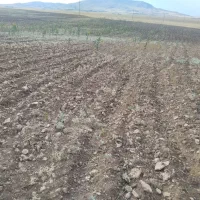 دستگاه سنگ جمع کن|ماشینآلات صنعتی|دهگلان, |دیوار