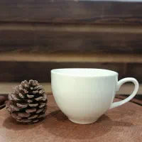 قوری وارمردار 350چینی450 ارسال بیرجند فله کیلویی|قوری، کتری، قهوه‌ساز دستی|تهران, افسریه جنوبی|دیوار