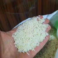 برنج هاشمی اصل|خوردنی و آشامیدنی|رشت, هلال احمر|دیوار