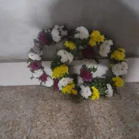 حلقه گردنی مناسب حجاج|گل و گیاه طبیعی|اهواز, اهواز|دیوار