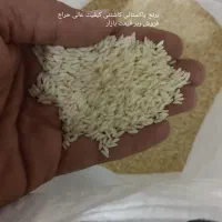 فروش برنج پاکستانی کاشتنی بهترین کیفیت