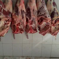 گوشت|خوردنی و آشامیدنی|نیشابور, رحمت آباد|دیوار
