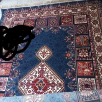 یک جفت فرش در مرتضی گرد