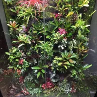 جنگل هوشمند با گیاهان طبیعی بدون نیاز به رسیدگی|گل و گیاه طبیعی|نجف‌آباد, منتظری شمالی|دیوار