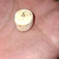 بنام زدن و فروش انواع مهره انگشتر للمحبه عجدالسان|بدلیجات|اهواز, کوی مندلی(سه راه خرمشهر)|دیوار