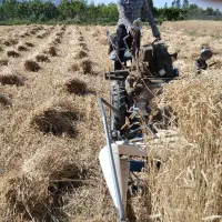 پذیرش کار با دستگاه گندم چین