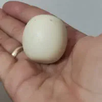 تسبیح شاه مقصود و سنگ آسیاب همه قدیمی قدمت دار.
