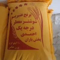 برنج عمبر بو شوشتر