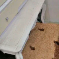 فروش فوری مبل با عسلی