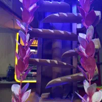 ابنما|صنایع دستی و سایر لوازم تزئینی|بوشهر, |دیوار