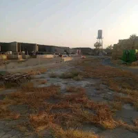 فروش گاوداری شیری۲هکتار پروانه۱۵۰راس چاه آب صفادشت|فروش دفتر صنعتی، کشاورزی، تجاری|صفادشت, |دیوار