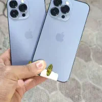 فروش iPhone 13 Pro zaa و پخش همه مدل آیفون