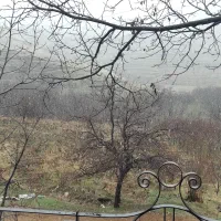 باغ-میوه-بمتراژ-1000متر-بر-جاده-اصلی-ملحمدره
