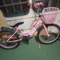 دوچرخه ۲۰|دوچرخه، اسکیت، اسکوتر|نیشابور, فردوس شمالی|دیوار