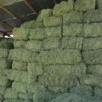 یونجه پرس
