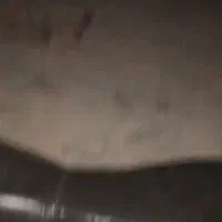 موتور