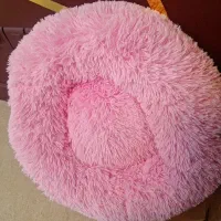 تخت سایز s پت