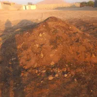 کود حیوانی