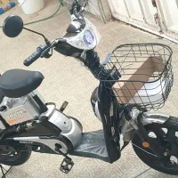 موتور برقی رایلی