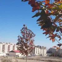 107-متری-خام-و-فول-درفاز8