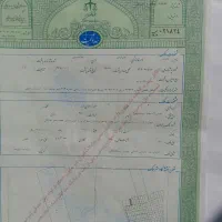 زمین سند ششدانگ حاشیه اصلی