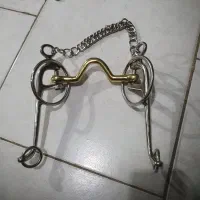 دهنه اسب