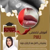 آموزش تخصصی میکروپیگمنتیشن ، میکروبلیدینگ|خدمات آموزشی|مشهد, ملک‌آباد|دیوار