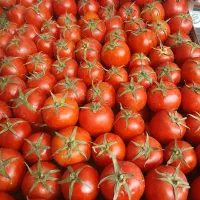 شراکت مالی  میوه فروشی