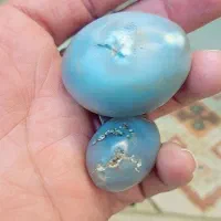 مهره سلیمانی