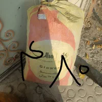 ذغال درجه یک|بخاری، هیتر، شومینه|دهدشت, |دیوار