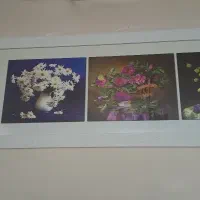 تابلوباقاب سفید