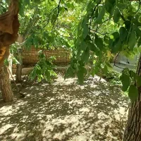 منزل ویلایی باغی|فروش خانه و ویلا|بوئین و میاندشت, |دیوار