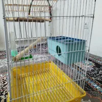 قفس|لوازم جانبی حیوانات|شیراز, غدیر جنوبی|دیوار