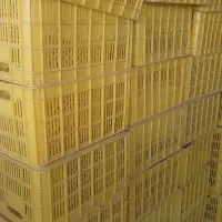 سبد پلاستیکی