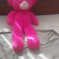 دوعدد خرس شاسخین بزرگ