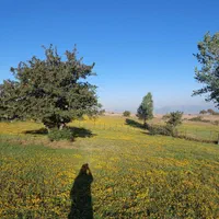 فروش ۴۰۰ متر زمین اسپیلی دیلمان با ویو ابدی|فروش زمین و ملک کلنگی|دیلمان, |دیوار