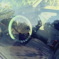 پراید141بیرنگ شاسیا سالم|خودرو سواری و وانت|گناباد, |دیوار