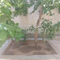 انجام کارهای خدماتی