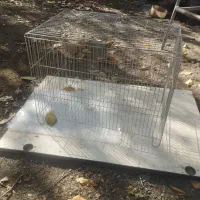 قفس|لوازم جانبی حیوانات|اردبیل, |دیوار