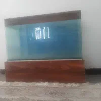 آکواریوم شرکتی شیشه خم با تمام وسایل