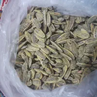 عسل و تخمه|عمده‌فروشی|تهران, نیاوران|دیوار