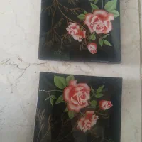 ۵ عدد بشقاب