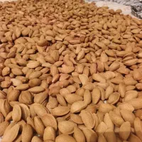 بادام مامایی