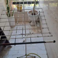 بند لباس