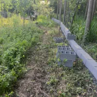 ۲۳۵متر زمین دوبحر لاهیجان رودبنه لاکمه سر