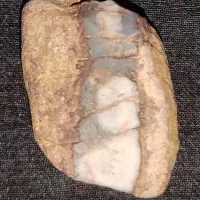 الماس شجر